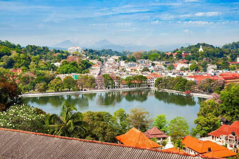 Kandy City Explore Full Day Tour , Like a Local - Tea, wood carving, and local craft stops