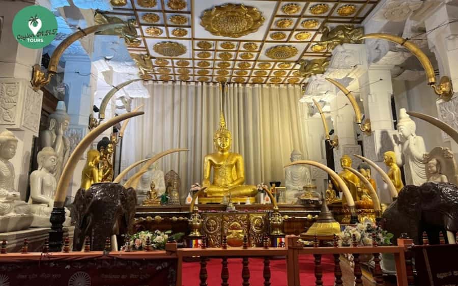 Kandy: City Explore with Local Guide By Tuk Tuk - Start with Kandy’s hilltop Buddha statue