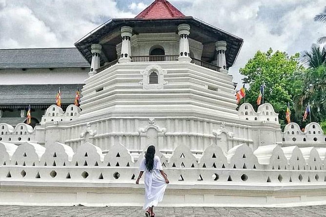 Kandy City guide Tour and day trip private luxury car and van - Bahirawakanda’s giant Buddha statue