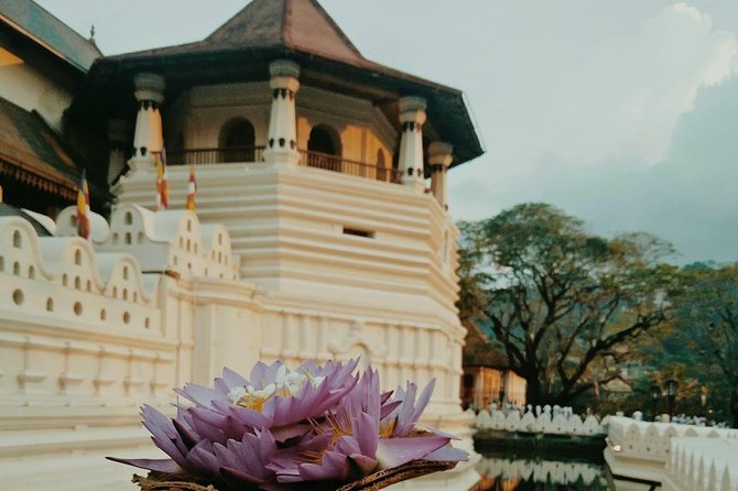 Kandy City guide Tour and day trip private luxury car and van - The museum and possible commercial stops