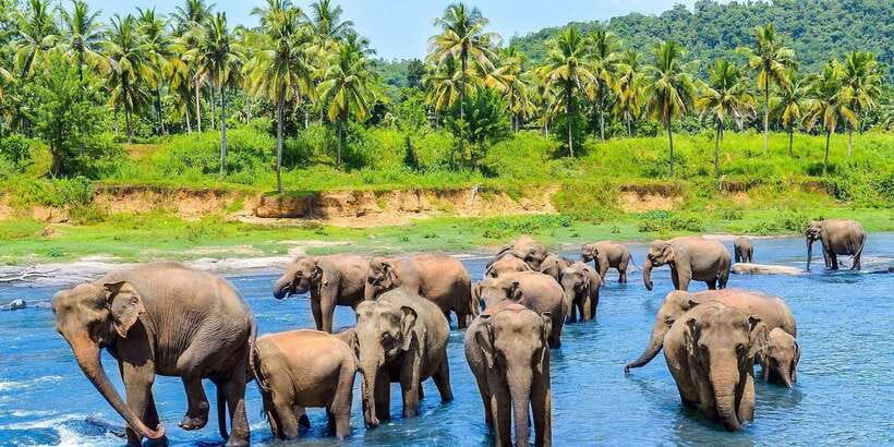 Kandy: City Highlights and Ramboda Waterfall Trip - Why this Kandy day trip works