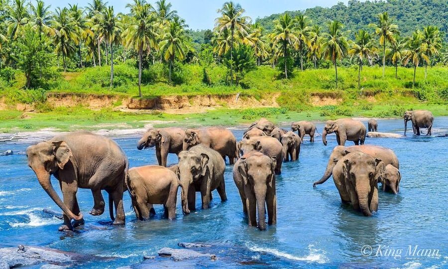 Kandy: City Highlights and Ramboda Waterfall Trip - Returning through the White Big Buddha