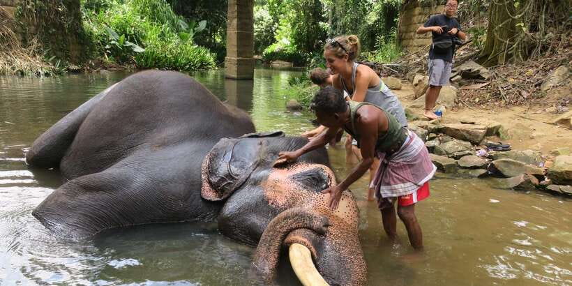 Kandy: City Highlights and Ramboda Waterfall Trip - Choosing between a tuk-tuk and a minivan