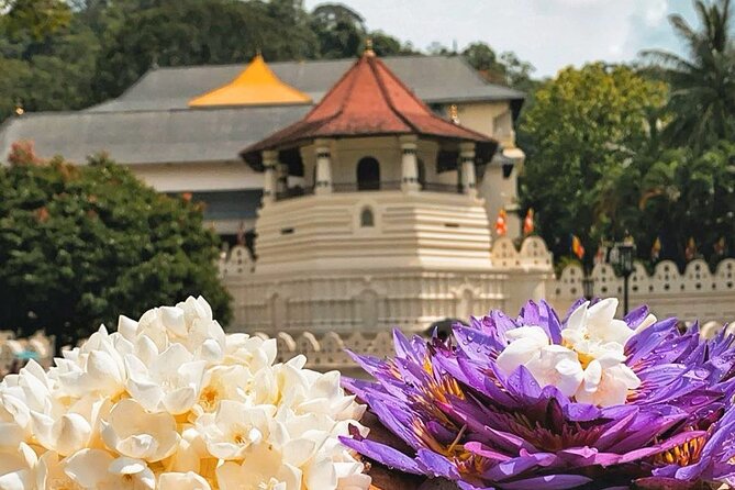 Kandy City Sightseeing and Ambuluwawa Tower by Tuk Tuk Tour - Bahirawakanda Big Buddha above the city