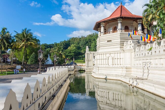 Kandy City Sightseeing and Ambuluwawa Tower by Tuk Tuk Tour - How much value do you get for $20?