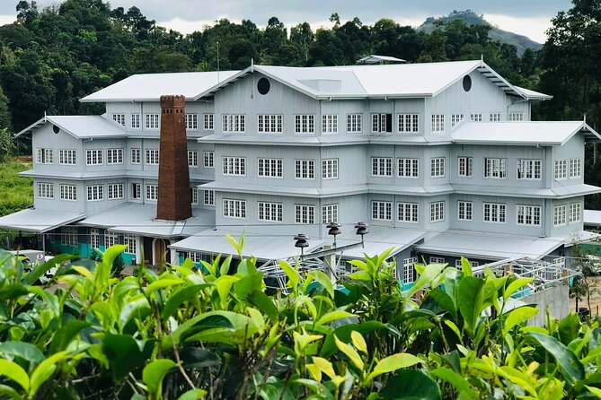 Kandy City Sightseeing and Ambuluwawa Tower by Tuk Tuk Tour - The driver can make or break the experience
