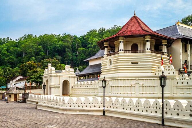 Kandy City Sightseeing Tour by Tuk Tuk - Royal Botanical Gardens at Peradeniya
