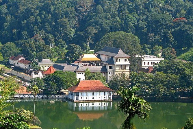 Kandy City Tour by Lux Tours Lanka - Why a private tour helps in Kandy
