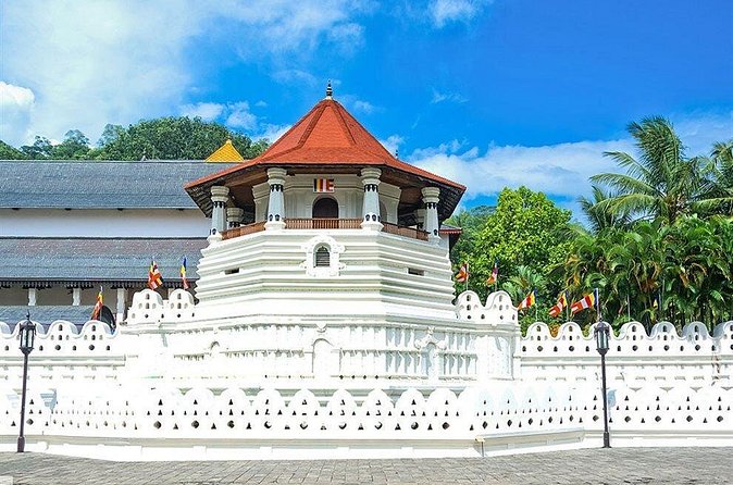 Kandy City Tour by Lux Tours Lanka - Royal Botanical Gardens are worth the extra admission