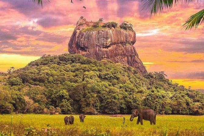 Kandy City Tour & Famous Ambuluwawa Tower with Friendly Chauffeur - The giant Buddha at Bahirawakanda