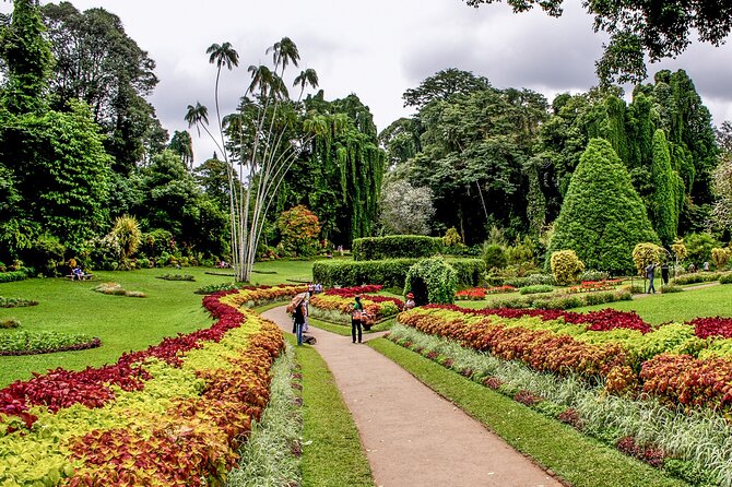 Kandy City Tour from Colombo - Guide quality and the spice-garden warning