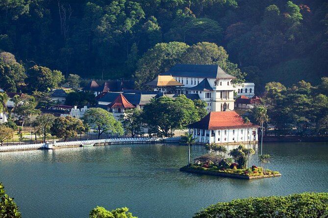 Kandy City Tour from Colombo - Hilltop views at Sri Maha Bodhi Viharaya