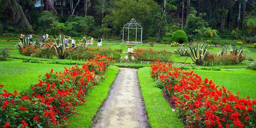 Kandy City Tour With Ambuluwawa Tower - Big Buddha and Asgiriya Stupa