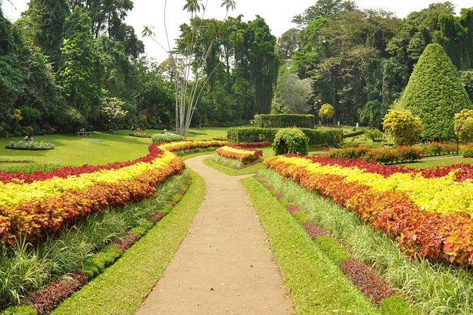 Kandy City Tour with Mahaweli - Royal Botanic Gardens: the tour’s biggest open-air stop