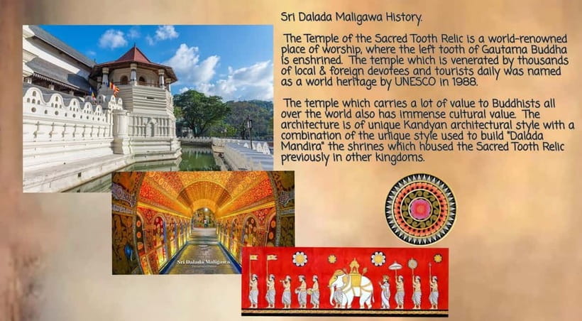 Kandy: City Tour with Temple of the Tooth & Tea Garden - Why this Kandy tour feels different