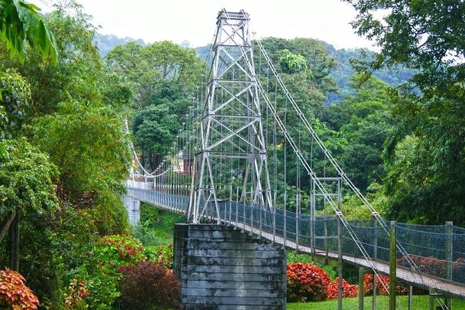 Kandy City Tour - Royal Botanical Gardens: start with two hours of greenery