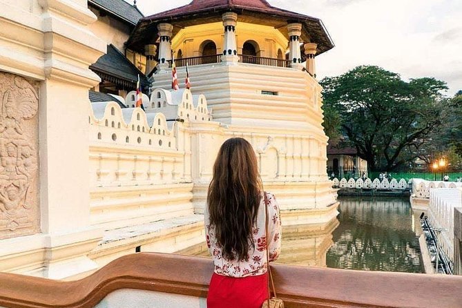 Kandy Day Tour From Colombo - Kandy View Point: ten minutes with a big payoff