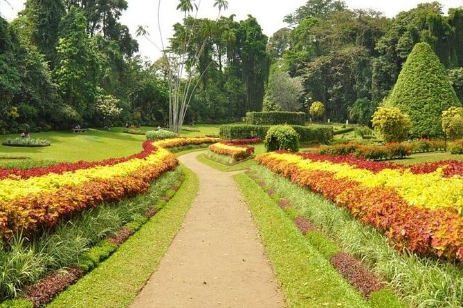 Kandy Day trip from Kalutara Beruwala Bentota Aluthgama Wadduwa - Kandy Lake gives the schedule a quiet pause