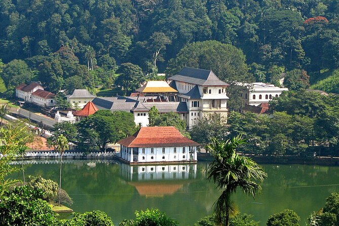 Kandy Day Trip with Tooth Relic Temple & Unique Attractions - The road to Kadugannawa Tea Factory