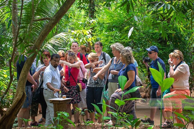 Kandy Day Trip with Tooth Relic Temple & Unique Attractions - The early start and physical demands