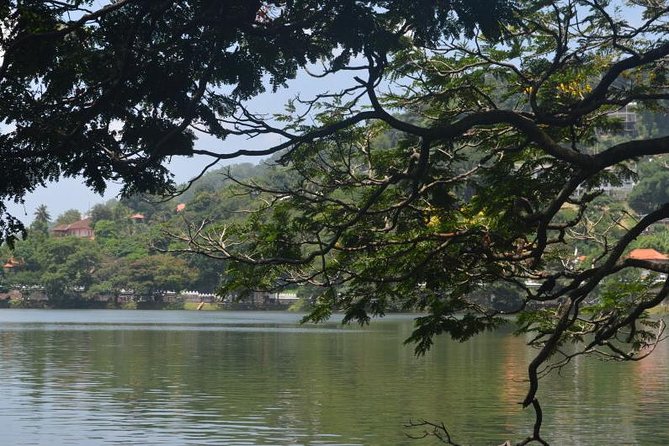 Kandy Full-Day Tour - Rooftop lunch with a view near Kandy Lake