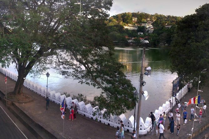 Kandy Full-Day Tour - The $120 price: fair for a private day?