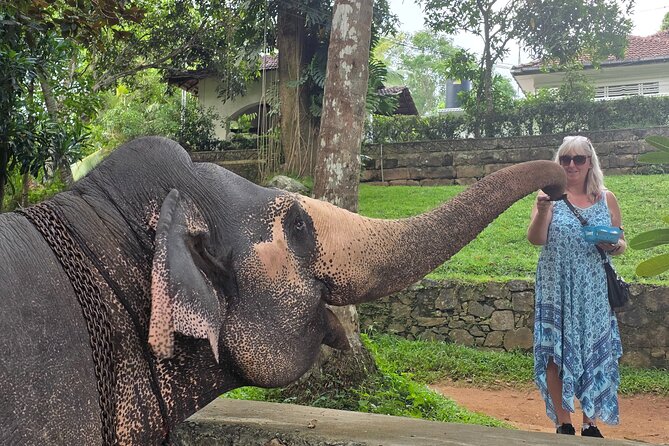 Kandy Full Day Tour Private All Inclusive - Quick Points to Know