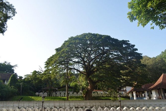 Kandy Full-Day Tour - Susantha Spice and Herbal Garden in Mawanella