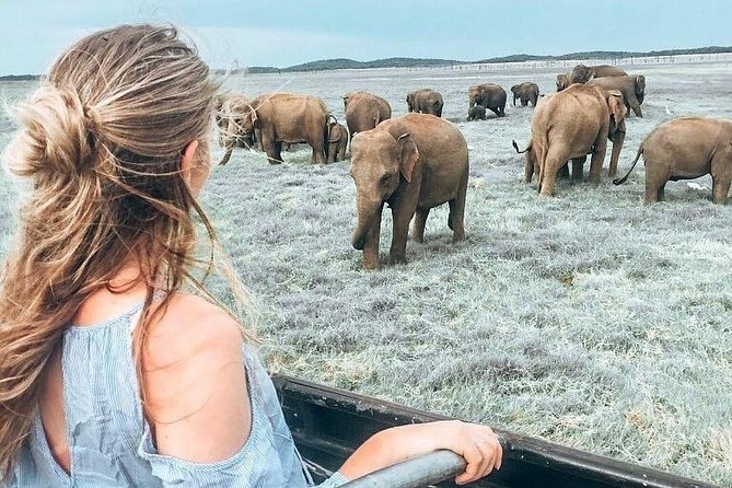 Kandy - Minneriya National park & Sigiriya Rock by tuk tuk tours - Key points to know before booking
