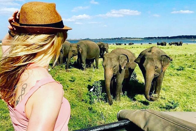 Kandy - Minneriya National park & Sigiriya Rock by tuk tuk tours - Dambulla Cave Temple: the day’s cultural anchor