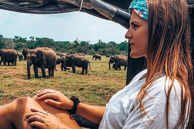 Kandy - Minneriya National park & Sigiriya Rock by tuk tuk tours - Sigiriya: confirm what you are actually seeing