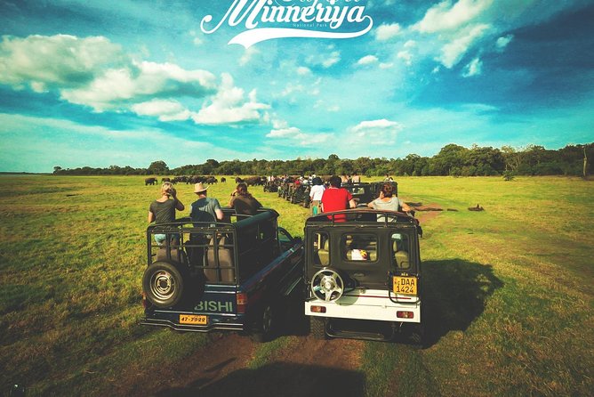Kandy - Minneriya National park & Sigiriya Rock by tuk tuk tours - Lunch: an easy place to lose time