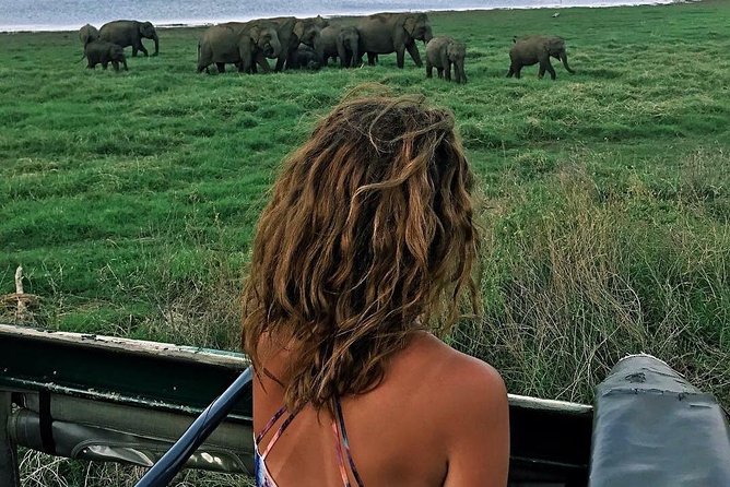 Kandy - Minneriya National park & Sigiriya Rock by tuk tuk tours - The Ayurvedic village and spice stop