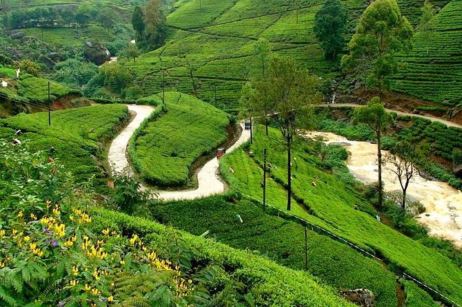 Kandy & Nuwara Eliya | 2 Days Tour - Colombo to Kandy with your own driver