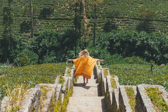 Kandy & Nuwara Eliya | 2 Days Tour - Kandy’s lake, markets, and city views