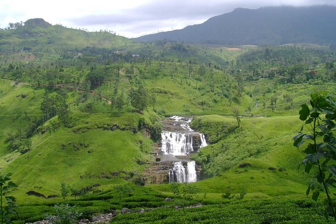 Kandy & Nuwara Eliya | 2 Days Tour - The climb into Nuwara Eliya