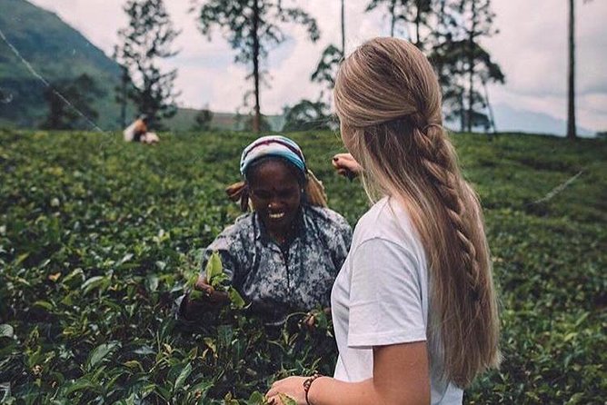 Kandy & Nuwara Eliya | 2 Days Tour - A spice garden and a taste of Ayurveda
