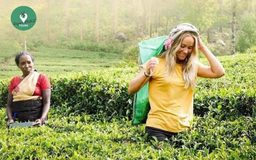 Kandy: Nuwara Eliya Day Explore by Tuk tuk with Local Guide - Key points to know before booking