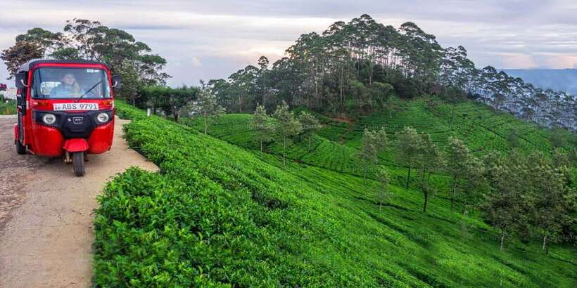 Kandy: Nuwara Eliya Day Trip - Asgiriya Stupa and the first cultural stop
