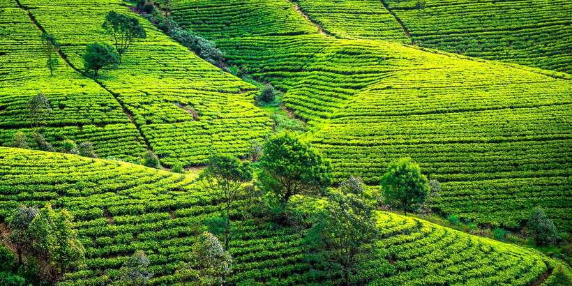 Kandy: Nuwara Eliya Day Trip - Ramboda Waterfall and the best scenery of the morning
