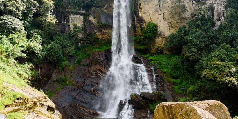 Kandy: Nuwara Eliya Day Trip - Tea country from plantation to factory
