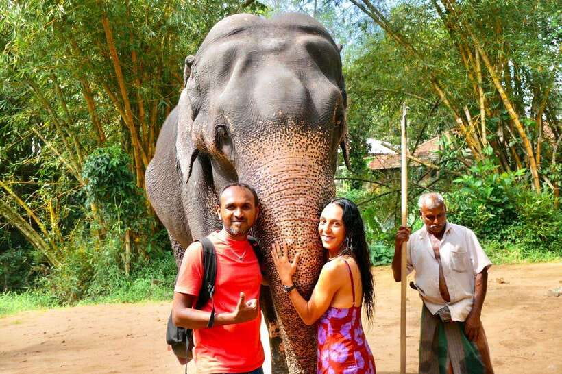 Kandy : Pinnawala Day Tour with Top Rated Local Guide - Why this $13 Kandy tour offers good value