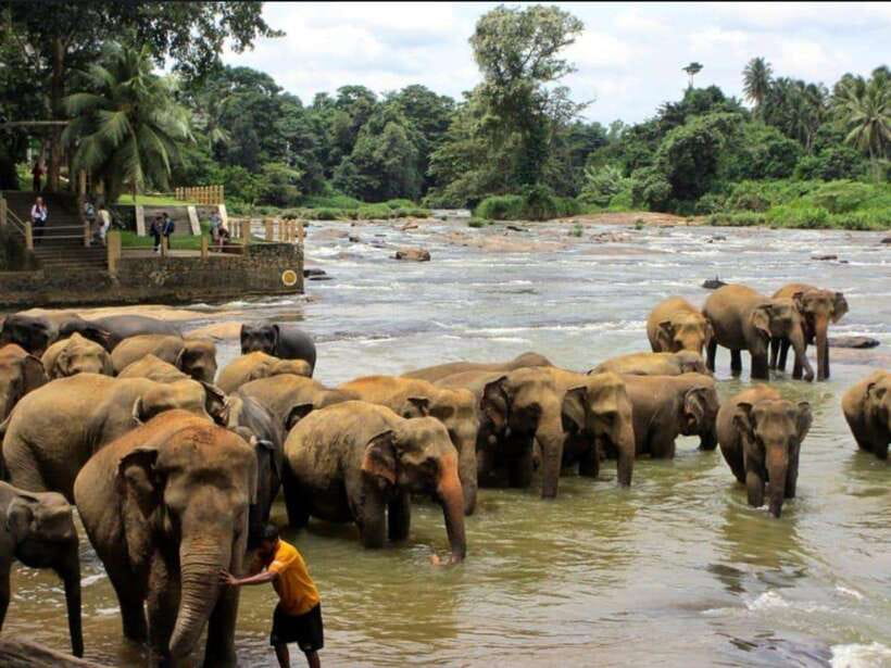 Kandy : Pinnawala Day Tour with Top Rated Local Guide - Kadugannawa viewpoint and the road toward Pinnawala