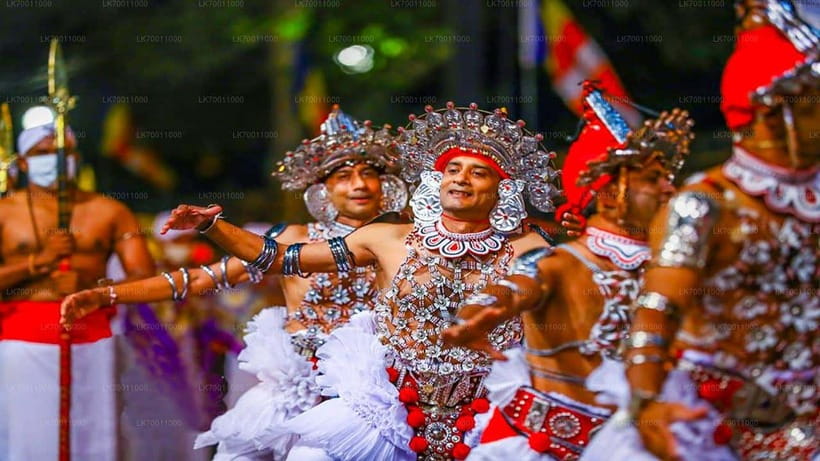 Kandy : Pinnawala Day Tour with Top Rated Local Guide - What Pinnawala means for your elephant visit