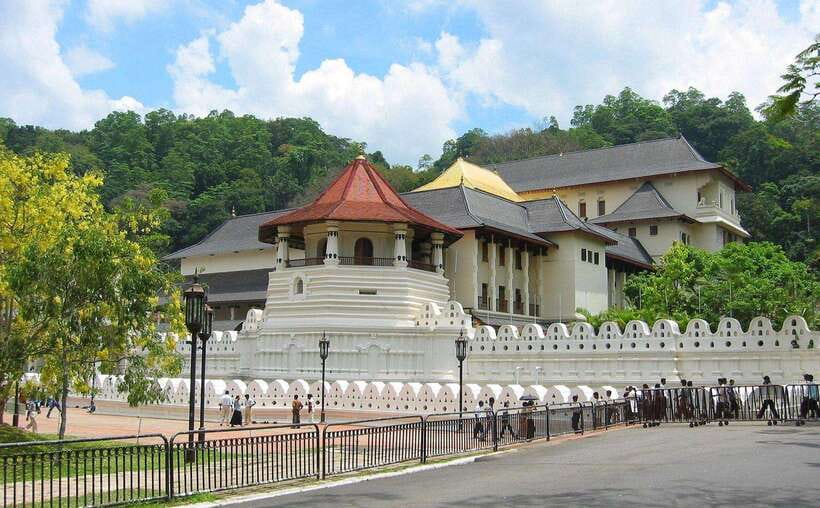 Kandy : Pinnawala Day Tour with Top Rated Local Guide - What the eight-hour schedule feels like