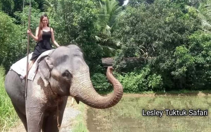 Kandy : Pinnawala Elephant Safari Private Guid Tuk Tuk Tour - Key things to know before booking