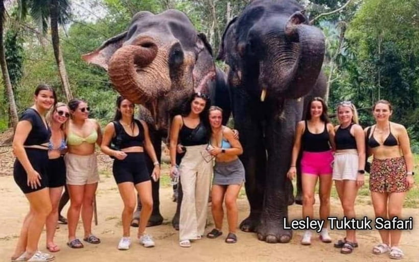 Kandy : Pinnawala Elephant Safari Private Guid Tuk Tuk Tour - Why this tour works well from Kandy