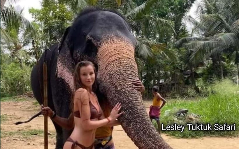 Kandy : Pinnawala Elephant Safari Private Guid Tuk Tuk Tour - Temples around Kandy