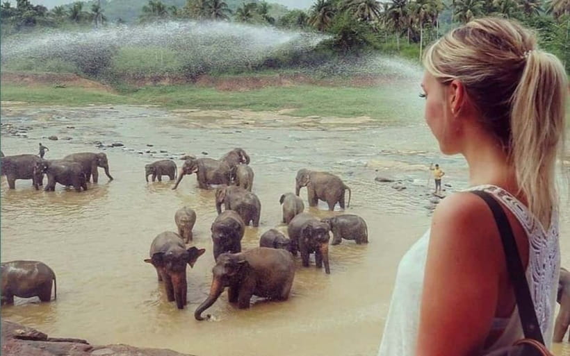 Kandy : Pinnawala Elephant Safari Private Guid Tuk Tuk Tour - Bridges and viewpoints along the way