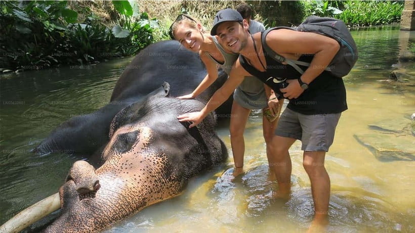 Kandy : Pinnawala Elephant Safari Private Guid Tuk Tuk Tour - What the guides add to the day